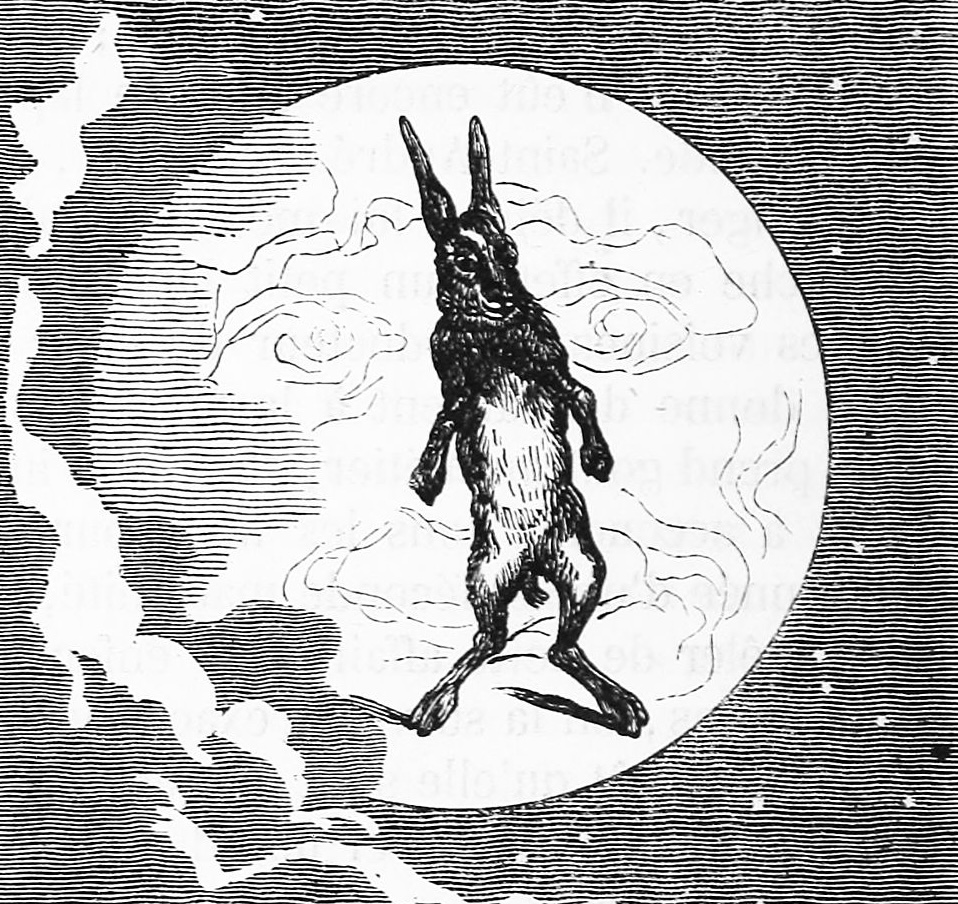 Moon Rabbit